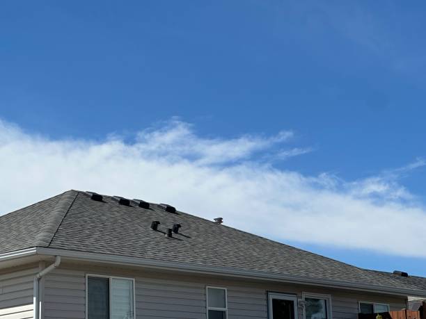 Best Roof Insulation Installation  in Apple Valley, OH